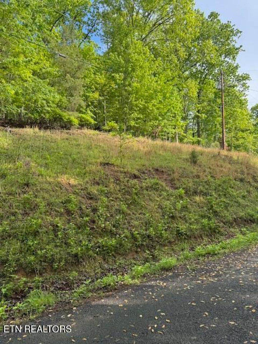 Photo of 543 Rockview Drive, Spring City, TN 37381 (MLS # 1300328)