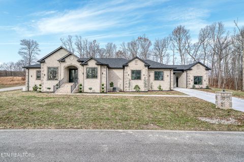 Photo of 519 Cumberland View Drive, Crossville, TN 38555 (MLS # 1324786)