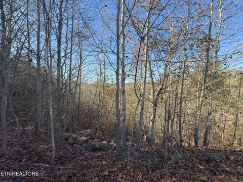 Tiny photo for 527 Enclave Way, Kingston, TN 37763 (MLS # 1341614)
