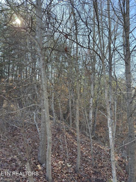 Tiny photo for 527 Enclave Way, Kingston, TN 37763 (MLS # 1341614)