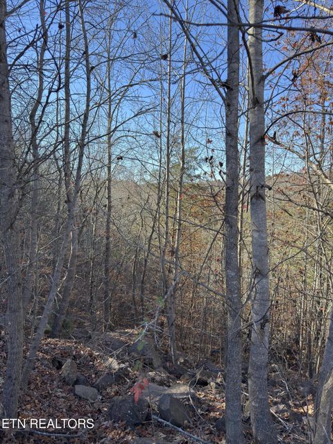 Tiny photo for 527 Enclave Way, Kingston, TN 37763 (MLS # 1341614)