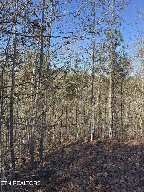 Tiny photo for 527 Enclave Way, Kingston, TN 37763 (MLS # 1341614)
