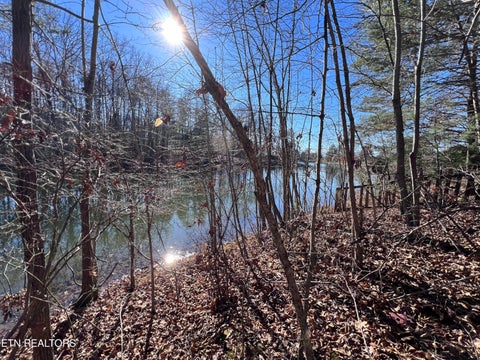 Featured picture for the property 1247851