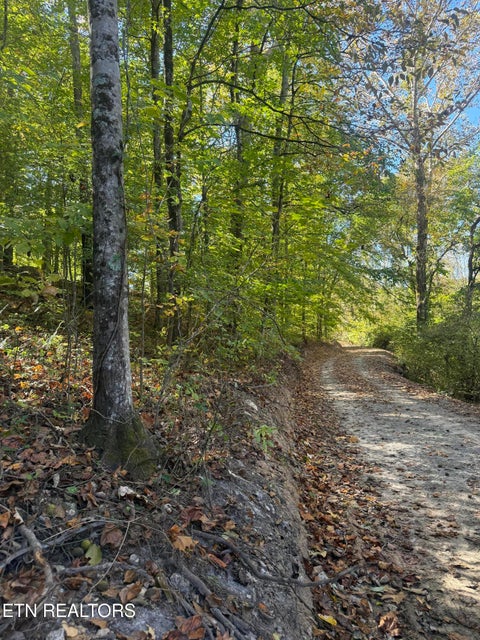 Tiny photo for 189 Irwin Salyers Lane, LaFollette, TN 37766 (MLS # 1359711)