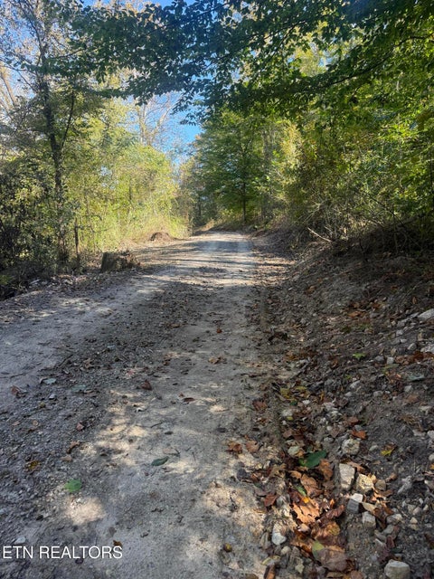 Tiny photo for 189 Irwin Salyers Lane, LaFollette, TN 37766 (MLS # 1359711)