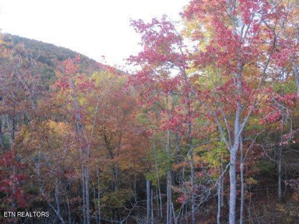 Photo of Green Ridge Trail - Lot #2, Harriman, TN 37748 (MLS # 1245040)