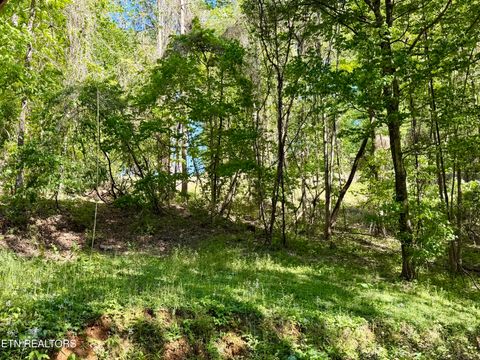 Tiny photo for 110 Laguna Vista Drive, Caryville, TN 37714 (MLS # 1338032)