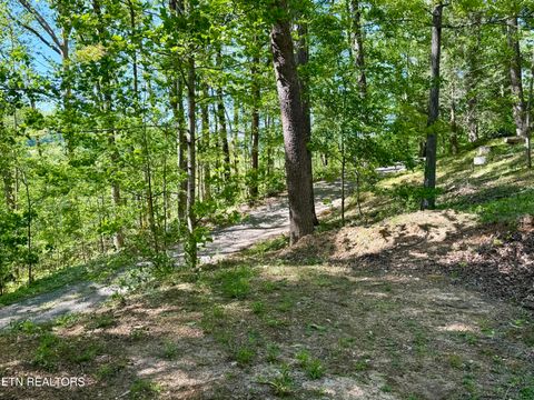 Tiny photo for 110 Laguna Vista Drive, Caryville, TN 37714 (MLS # 1338032)