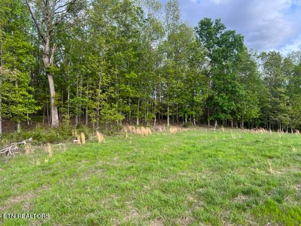 Photo of Lankford Ridge Rd, Decatur, TN 37322 (MLS # 1244928)