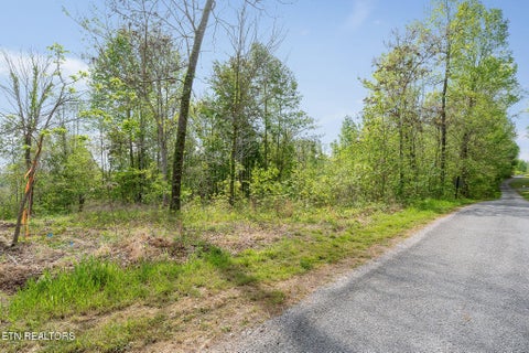 Tiny photo for 75 Backbone Rd, Sparta, TN 38583 (MLS # 1359968)