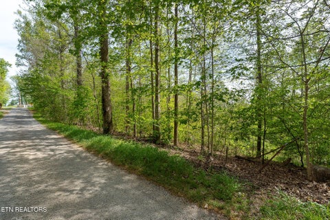 Tiny photo for 75 Backbone Rd, Sparta, TN 38583 (MLS # 1359968)