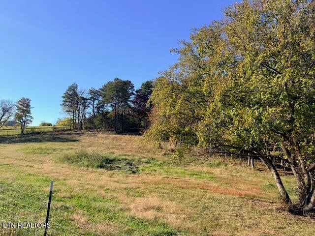 Photo of Salem Rd Lot #10, Parrottsville, TN 37843 (MLS # 1359413)