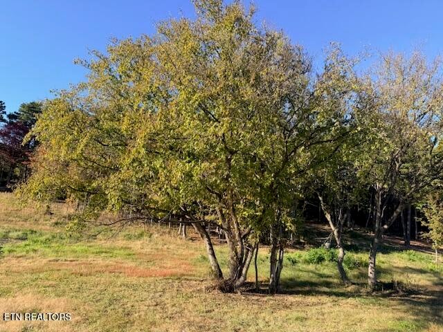 Photo of Salem Rd Lot #10, Parrottsville, TN 37843 (MLS # 1359413)