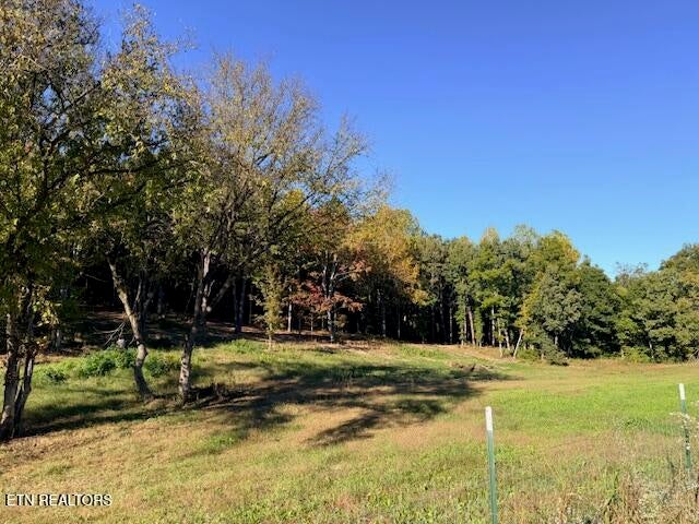 Photo of Salem Rd Lot #10, Parrottsville, TN 37843 (MLS # 1359413)