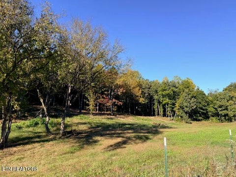 Photo of Salem Rd Lot #10, Parrottsville, TN 37843 (MLS # 1359413)