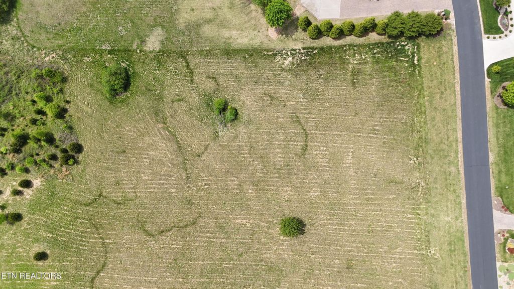 Photo of Lot 637 Majestic View Drive, Rockwood, TN 37854 (MLS # 1336904)