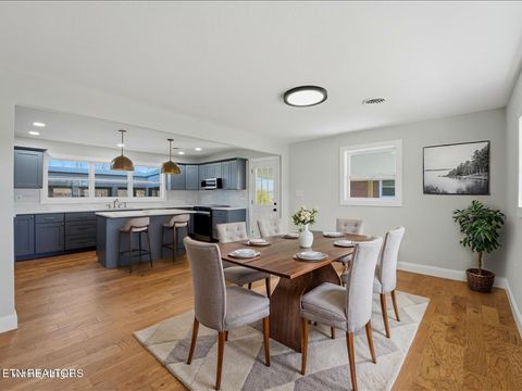 Tiny photo for 452 Wilder St, Morristown, TN 37813 (MLS # 1334359)