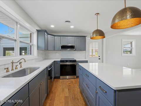 Tiny photo for 452 Wilder St, Morristown, TN 37813 (MLS # 1334359)