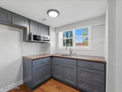 Tiny photo for 452 Wilder St, Morristown, TN 37813 (MLS # 1334359)