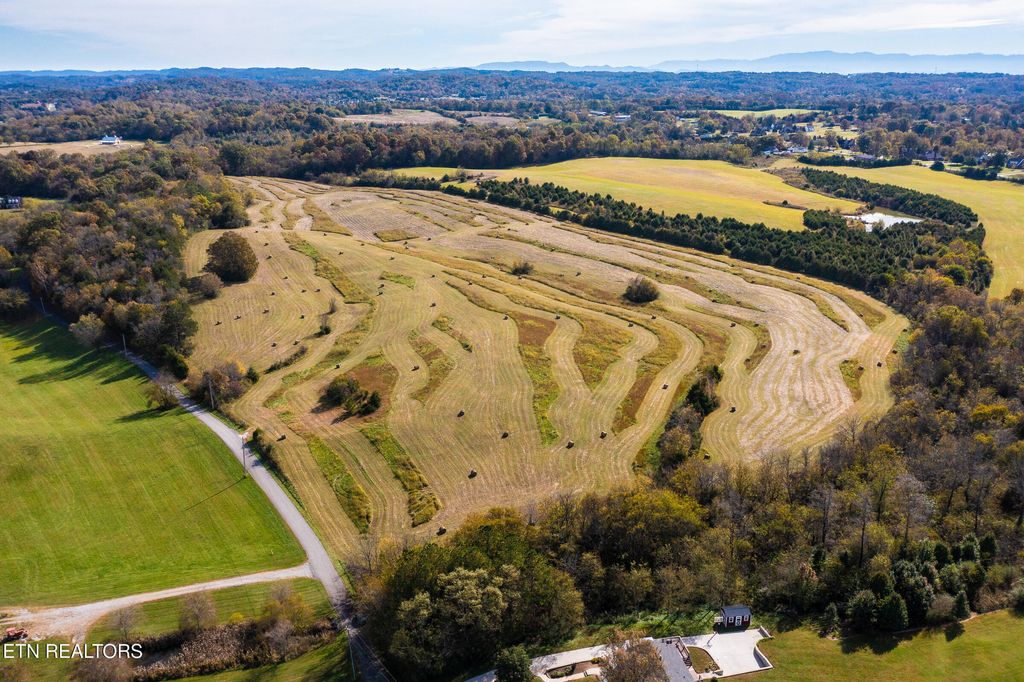 Photo of 8634 Shackleford Lane, Strawberry Plains, TN 37871 (MLS # 1306561)