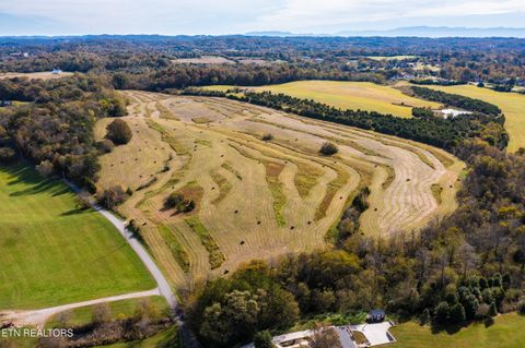 8634 Shackleford Lane Strawberry Plains TN 37871