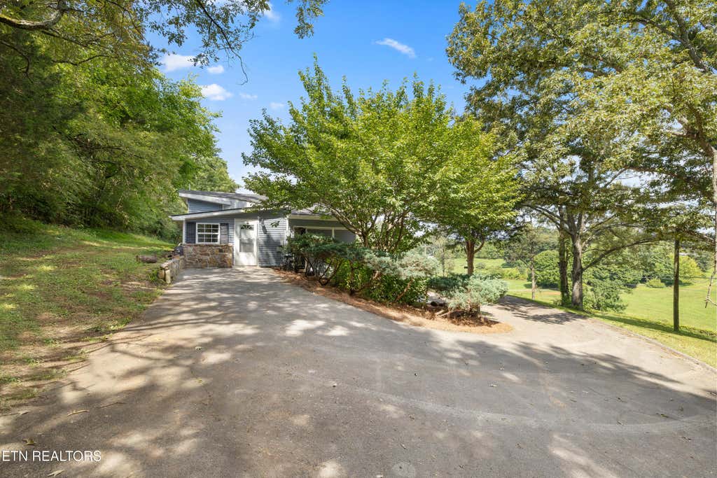 Photo of 1994 Main St, White Pine, TN 37890 (MLS # 1350244)