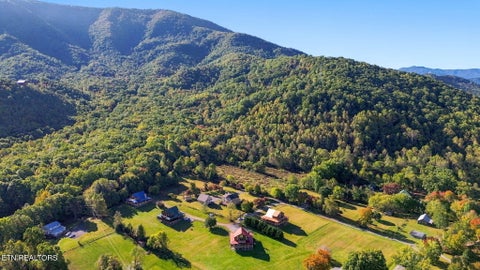 Tiny photo for 3213 Grinders Way, Sevierville, TN 37862 (MLS # 1360043)