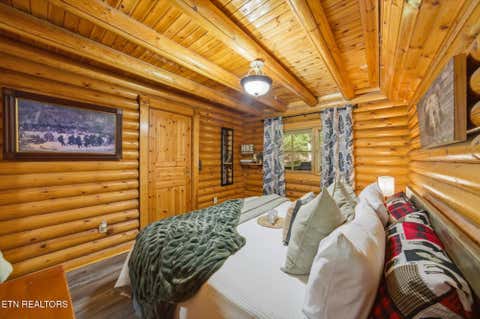 Tiny photo for 154 Smoky Mountain Way, Sevierville, TN 37876 (MLS # 1349874)