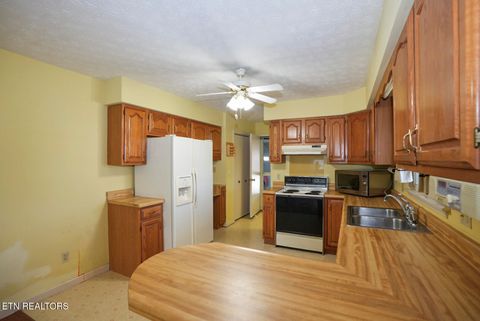 Tiny photo for 1737 Doc Terry Rd, Dandridge, TN 37725 (MLS # 1317603)