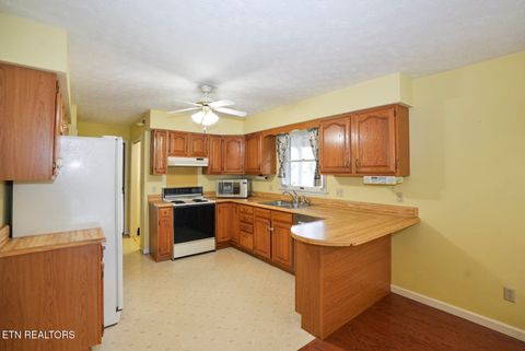 Tiny photo for 1737 Doc Terry Rd, Dandridge, TN 37725 (MLS # 1317603)