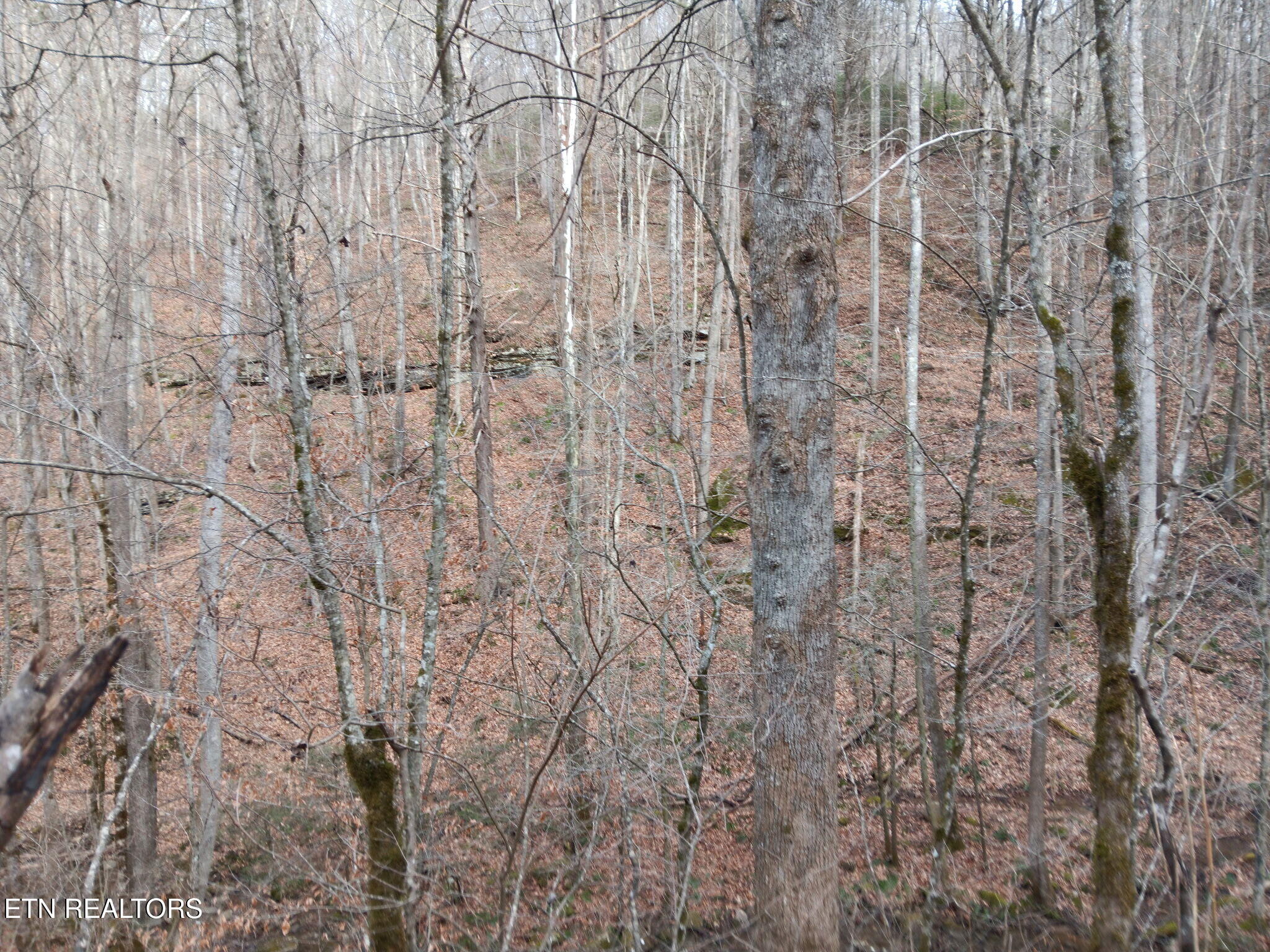 Stoney Fork Rd