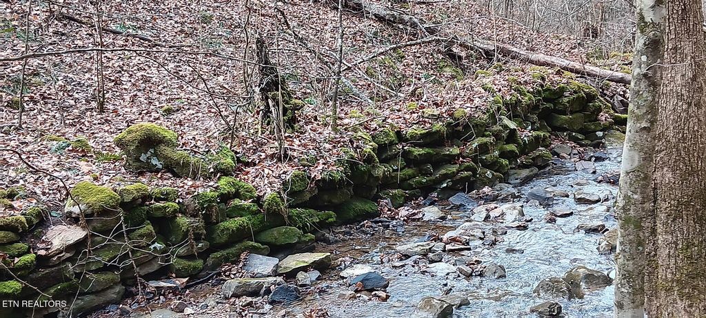 Photo of Stoney Fork Rd, Caryville, TN 37714 (MLS # 1312059)
