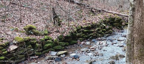 Stoney Fork Rd Caryville TN 37714