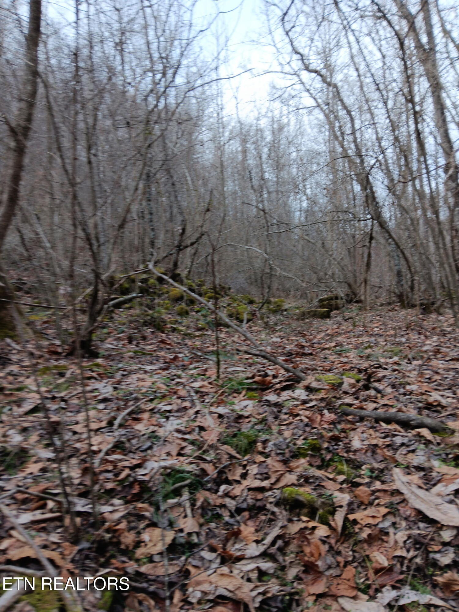 Stoney Fork Rd