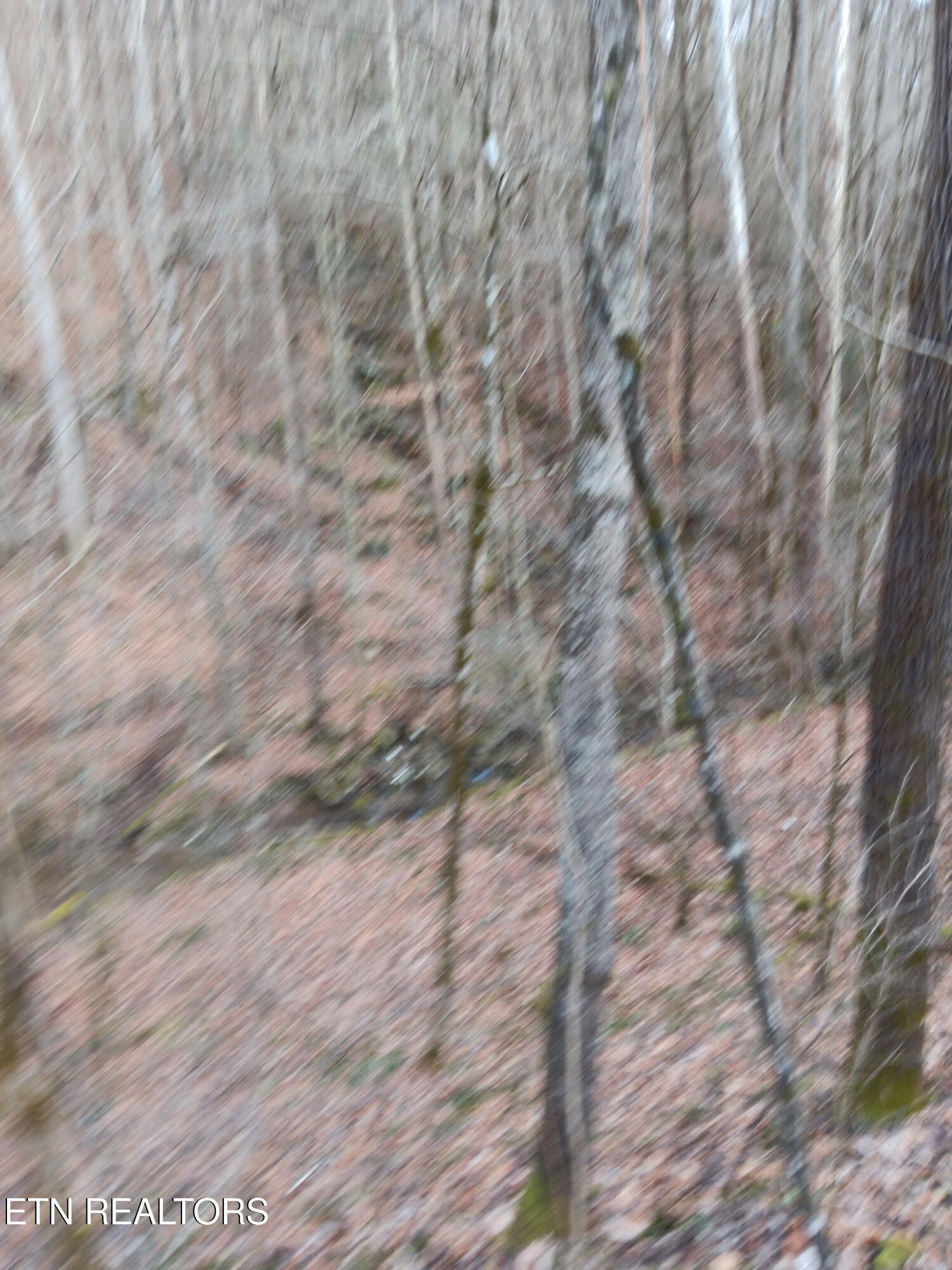 Stoney Fork Rd