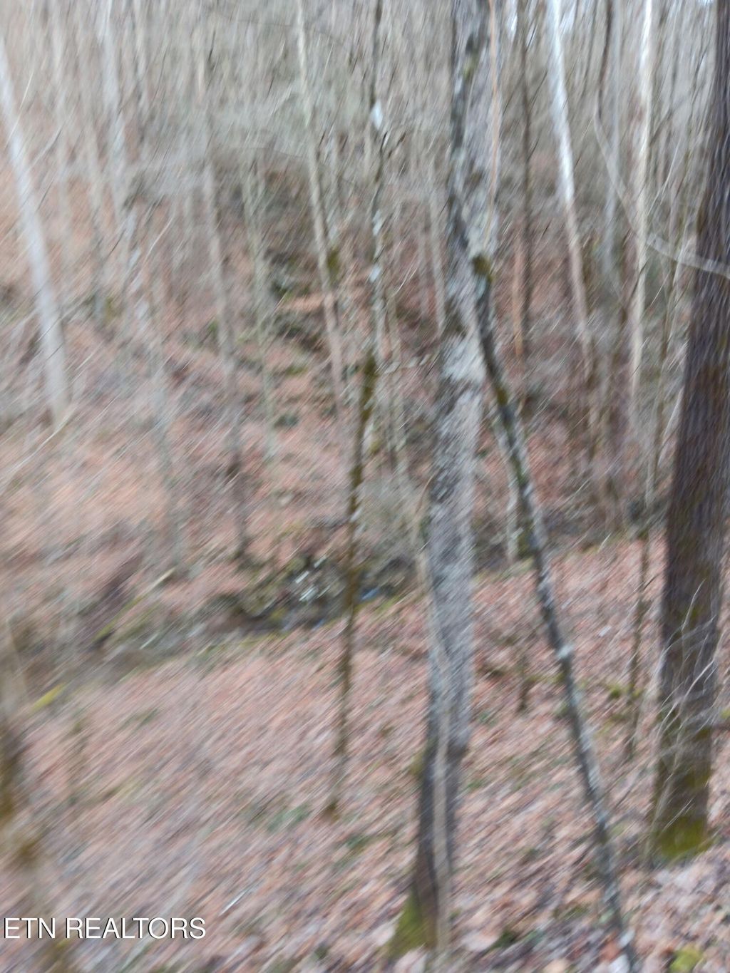 Photo of Stoney Fork Rd, Caryville, TN 37714 (MLS # 1312059)