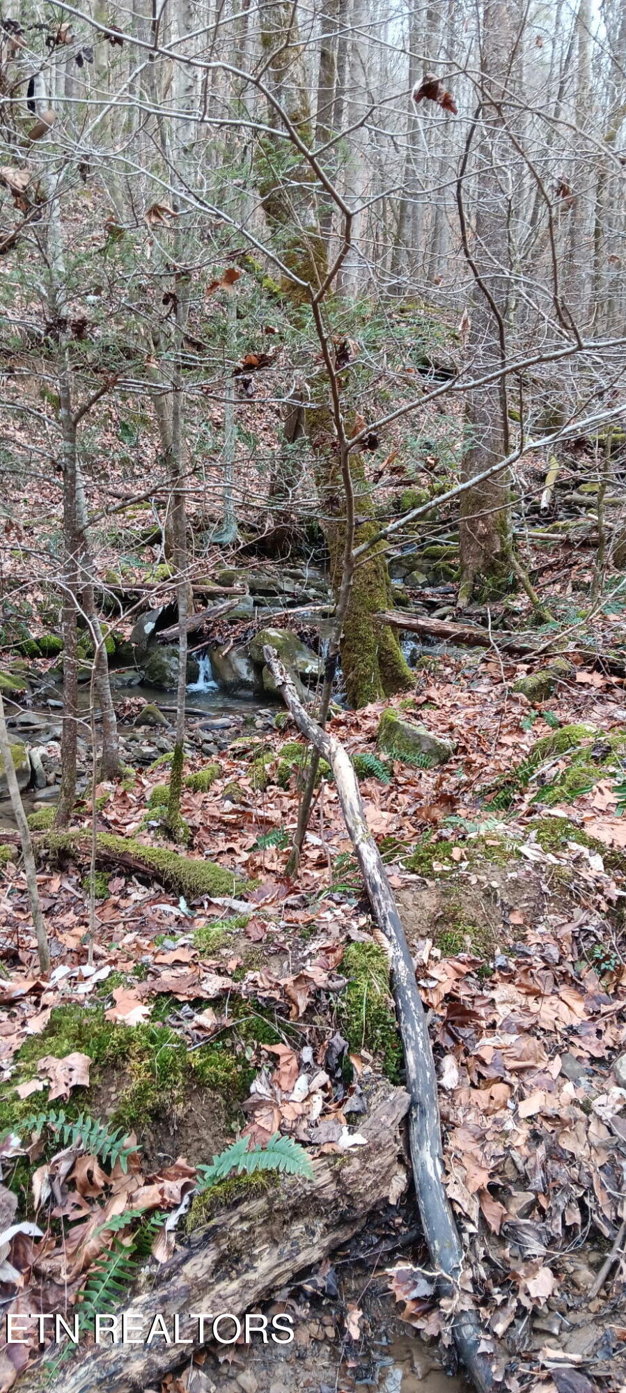 Stoney Fork Rd