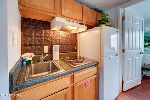 Tiny photo for 354 E Holly Ridge Rd #310, Gatlinburg, TN 37738 (MLS # 1319231)