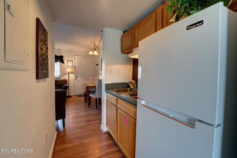 Tiny photo for 354 E Holly Ridge Rd #310, Gatlinburg, TN 37738 (MLS # 1319231)