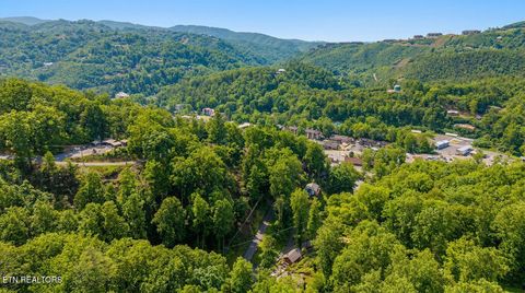 Tiny photo for 303 Silverbell Lane, Gatlinburg, TN 37738 (MLS # 1340928)