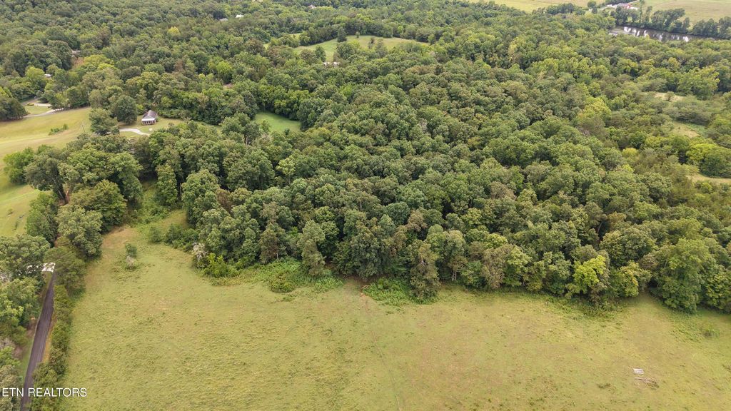 Photo of 575 Duignan Rd, Strawberry Plains, TN 37871 (MLS # 1310210)