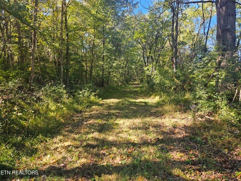 Tiny photo for 712 S Farnum St, Friendsville, TN 37737 (MLS # 1359578)