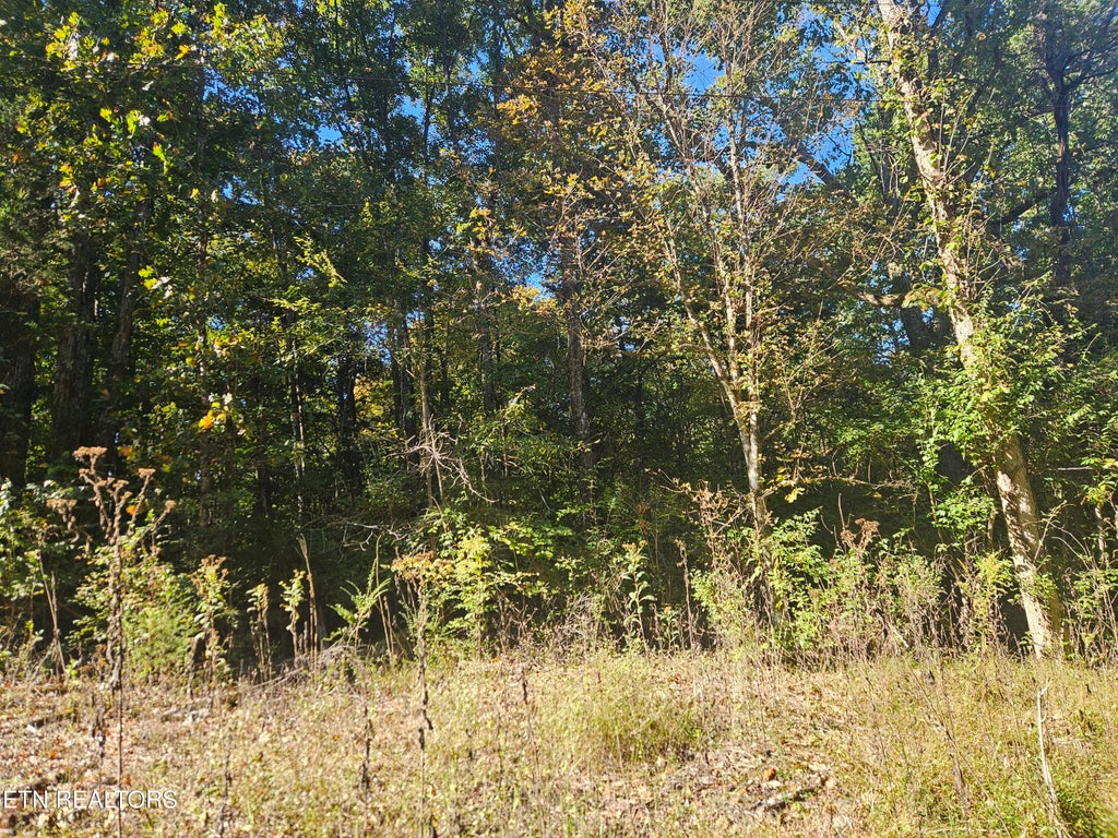 Photo of 712 S Farnum St, Friendsville, TN 37737 (MLS # 1359578)