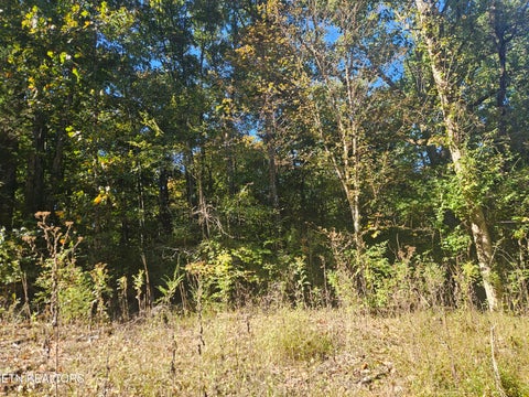 Tiny photo for 712 S Farnum St, Friendsville, TN 37737 (MLS # 1359578)
