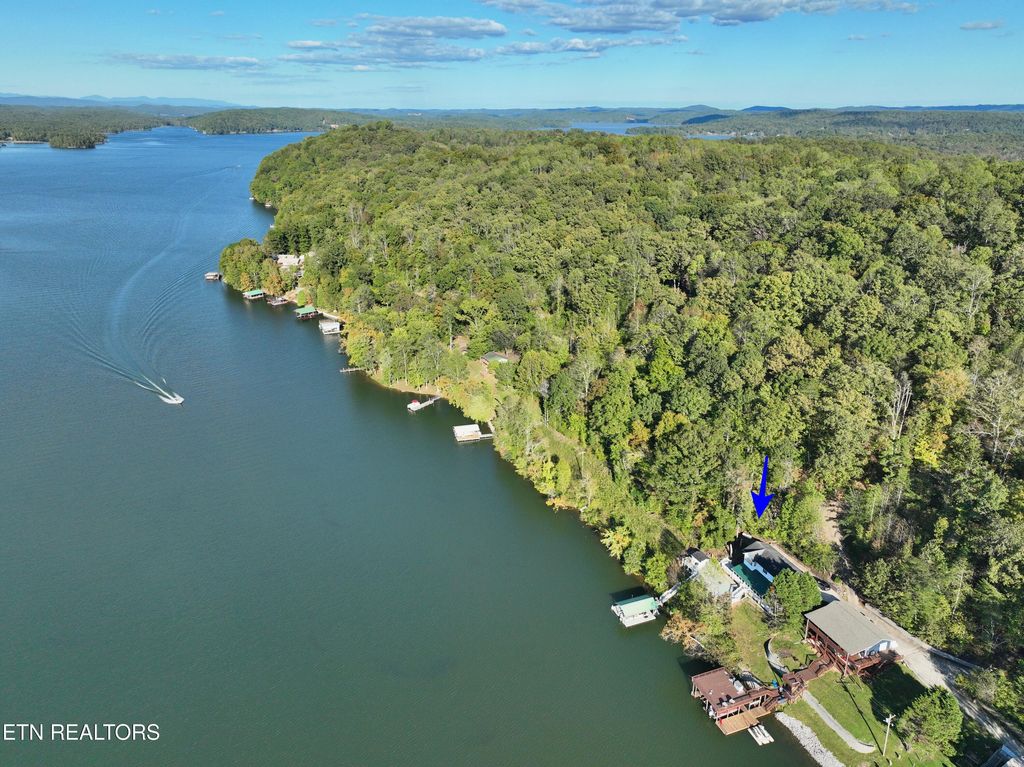 Photo of 341 Clearwater Drive, Spring City, TN 37381 (MLS # 1318882)