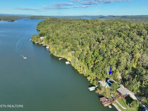 Tiny photo for 341 Clearwater Drive, Spring City, TN 37381 (MLS # 1318882)