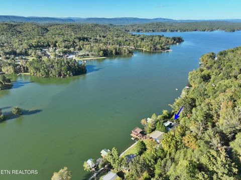 Tiny photo for 341 Clearwater Drive, Spring City, TN 37381 (MLS # 1318882)
