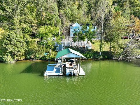 Photo of 341 Clearwater Drive, Spring City, TN 37381 (MLS # 1318882)