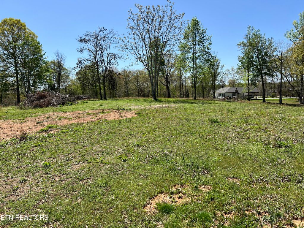 Photo of Loch Haven Rd, Rockwood, TN 37854 (MLS # 1296406)