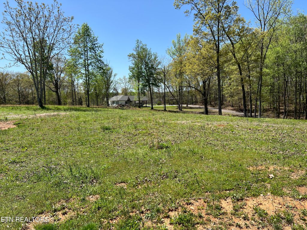 Photo of Loch Haven Rd, Rockwood, TN 37854 (MLS # 1296406)